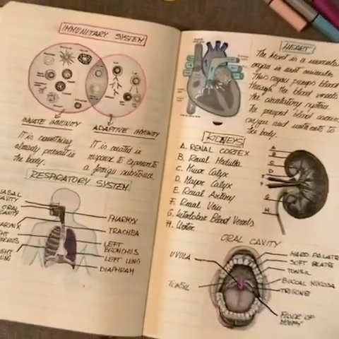 Mini-imprimante thermique PokiPrint